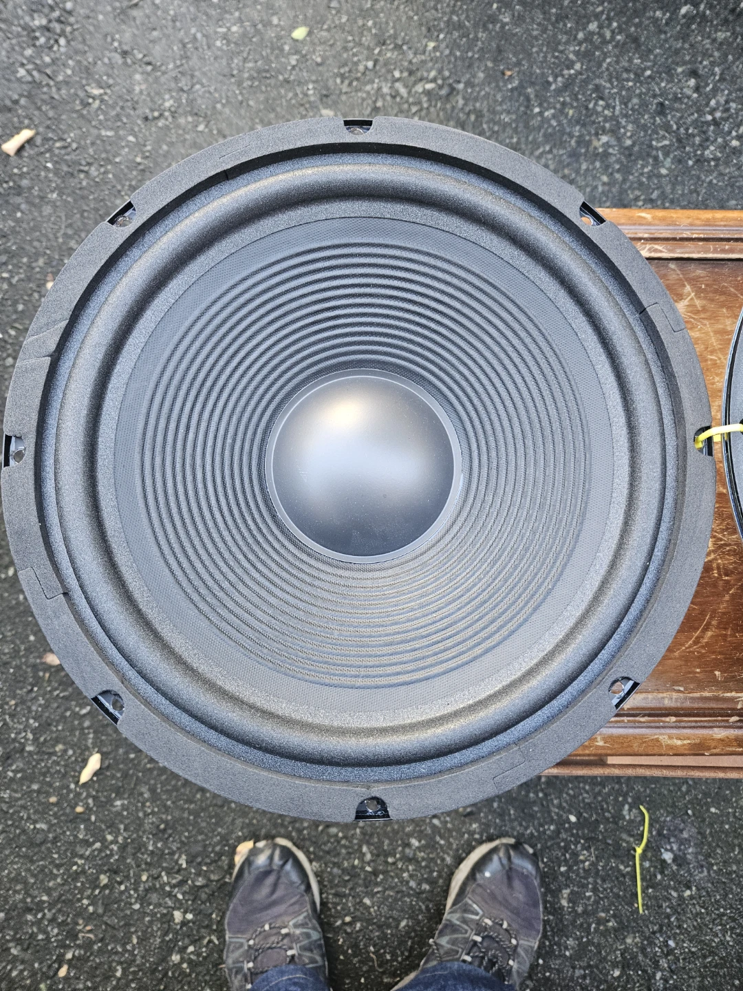 Two 12-inch Replacement Speaker Drivers - photo 3