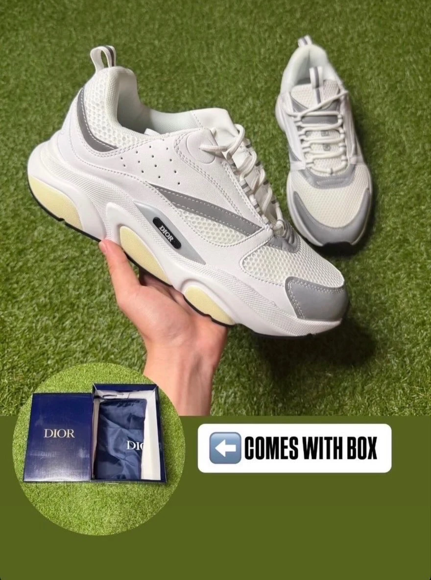 Dior B22 Sneakers White and Grey