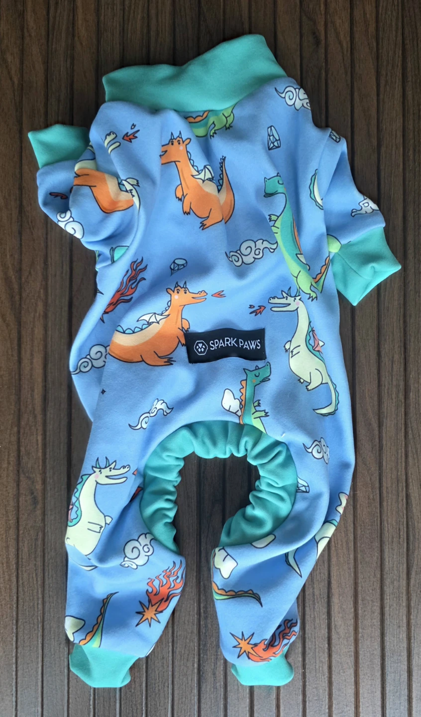 Dog Pajama Dragons