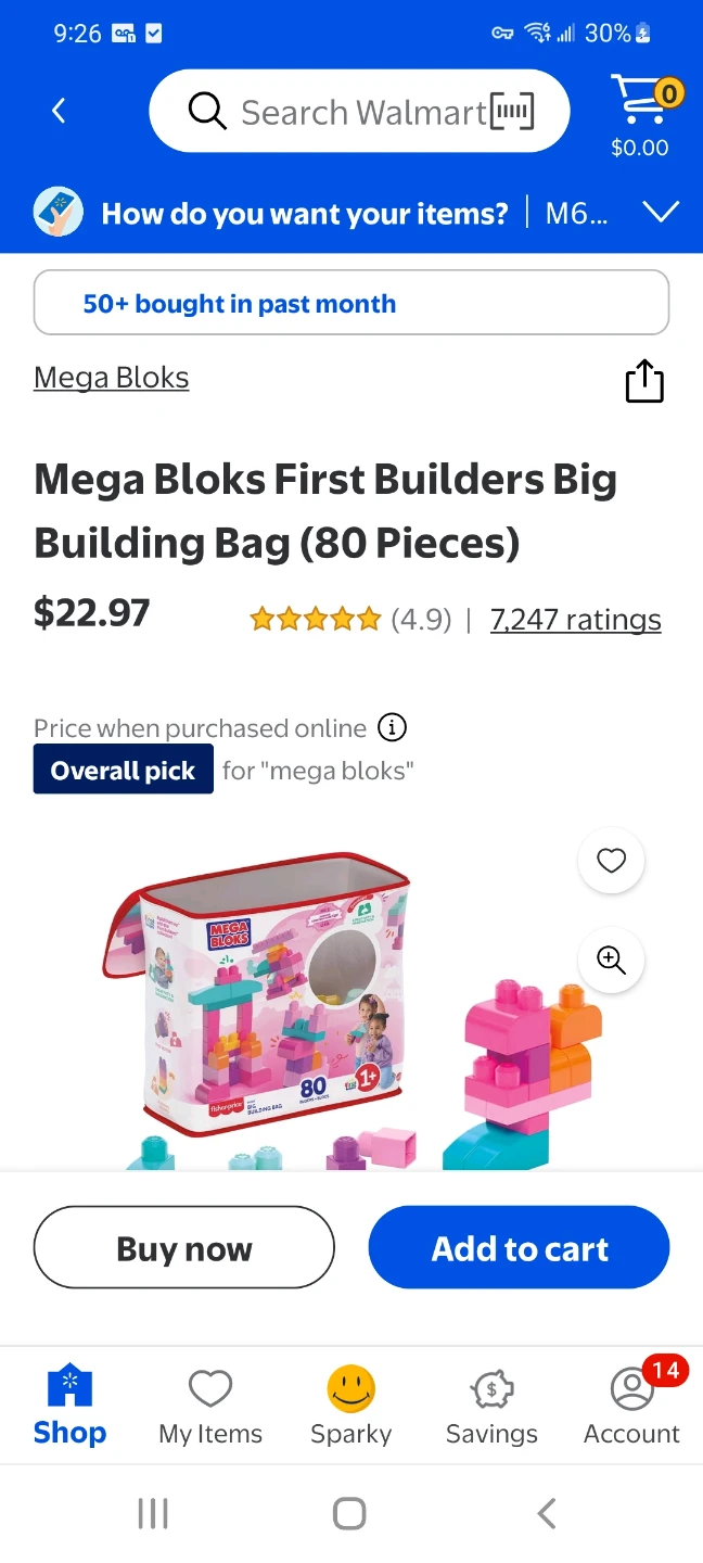 Mega Bloks First Builders Big Building Bag 80 Pieces