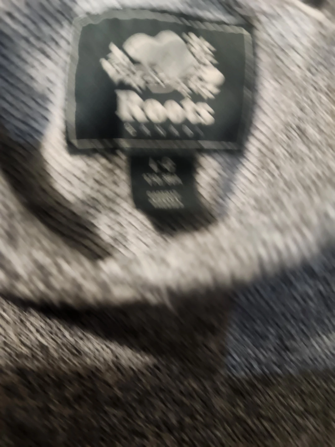 Roots Grey Hoodie - photo 4
