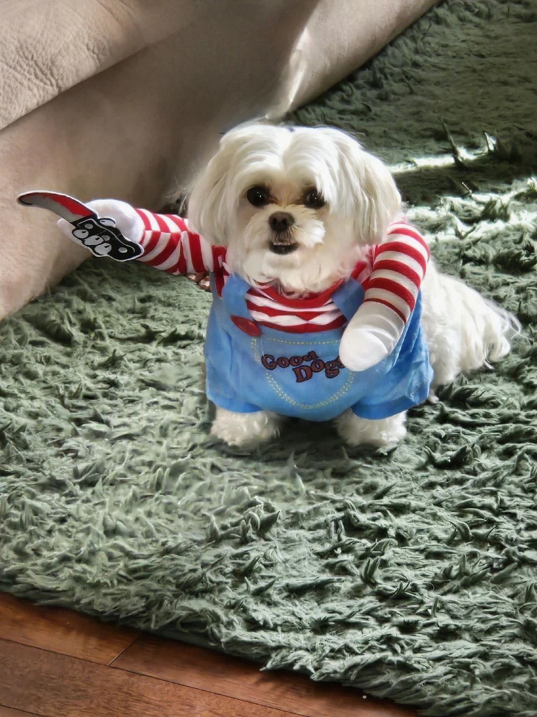 Pet Costume - photo 4