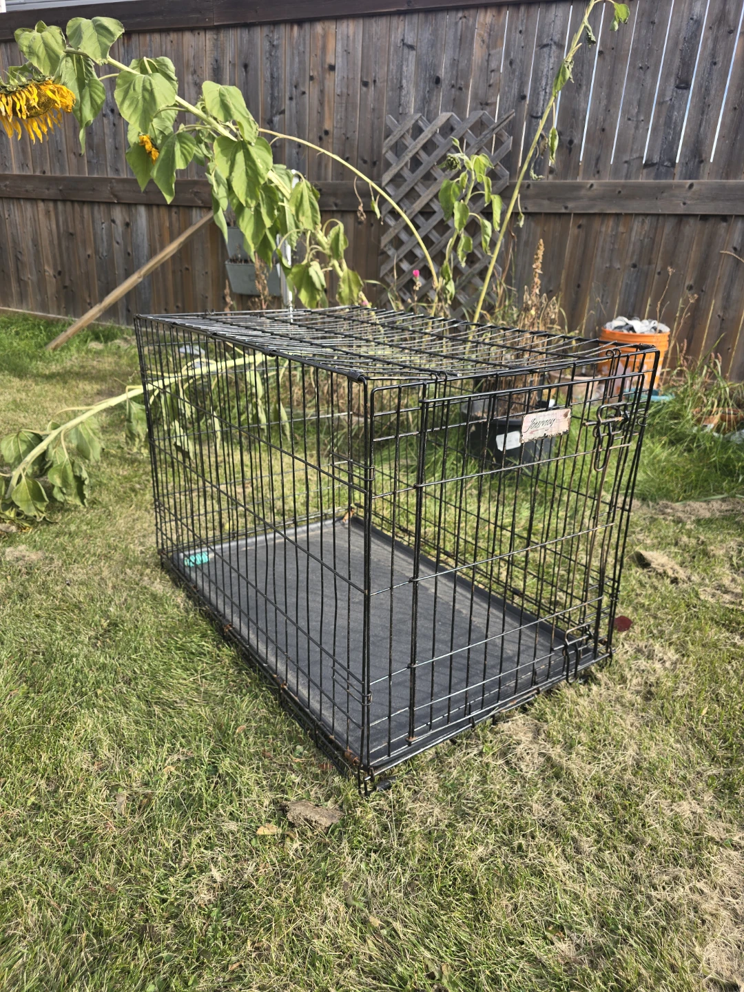 Large Dog Crate