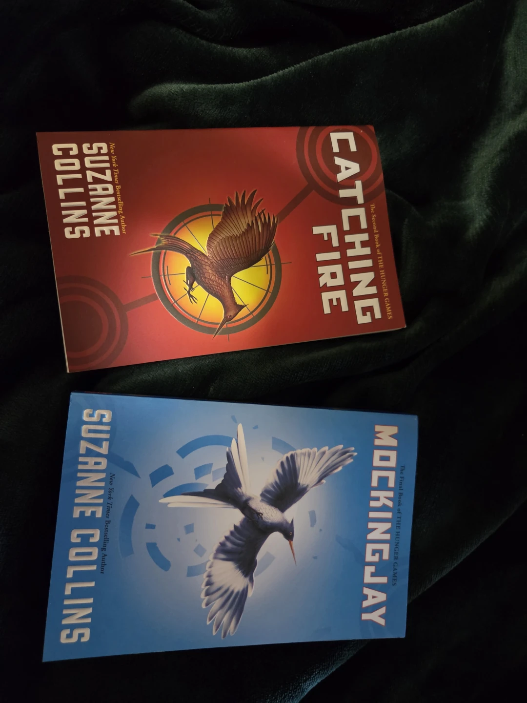 Catching Fire and Mockingjay by Suzanne Collins