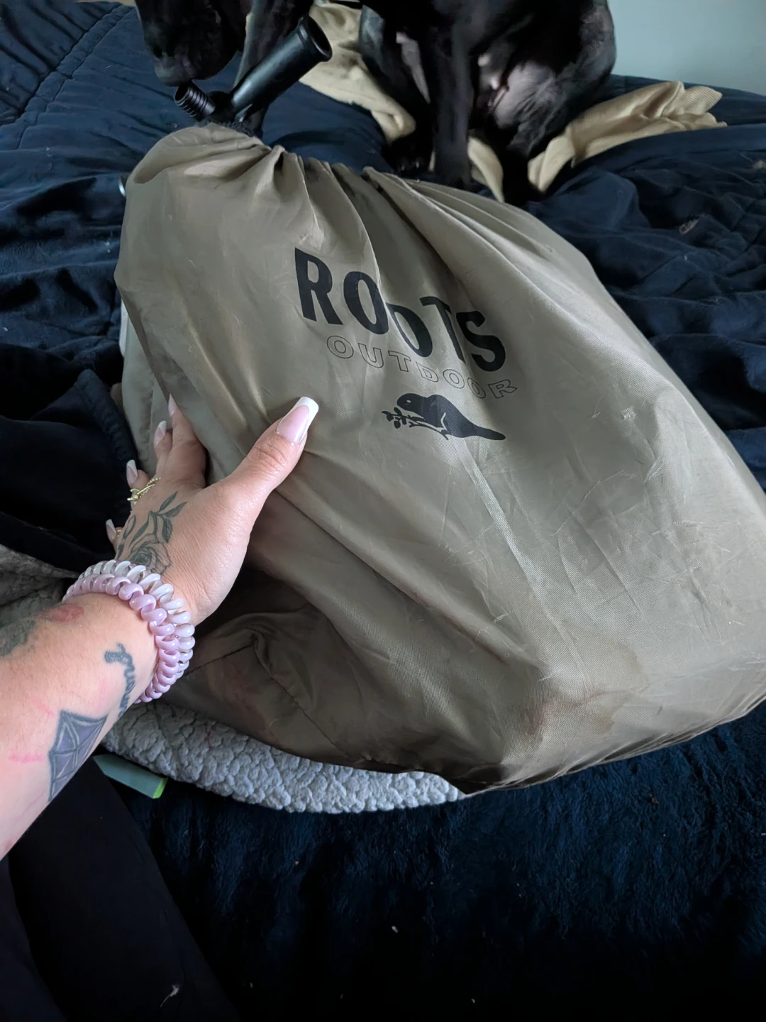 Roots Outdoor Air Bed with Bestway Air Hammer Pump - photo 2
