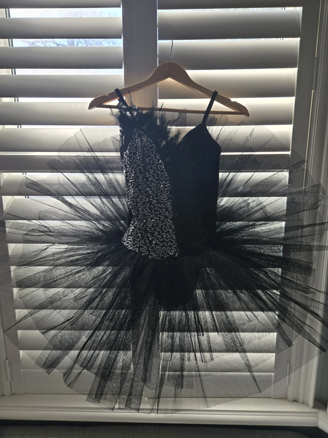 Black Velvet Sequin and Feather Ballet Tutu costume