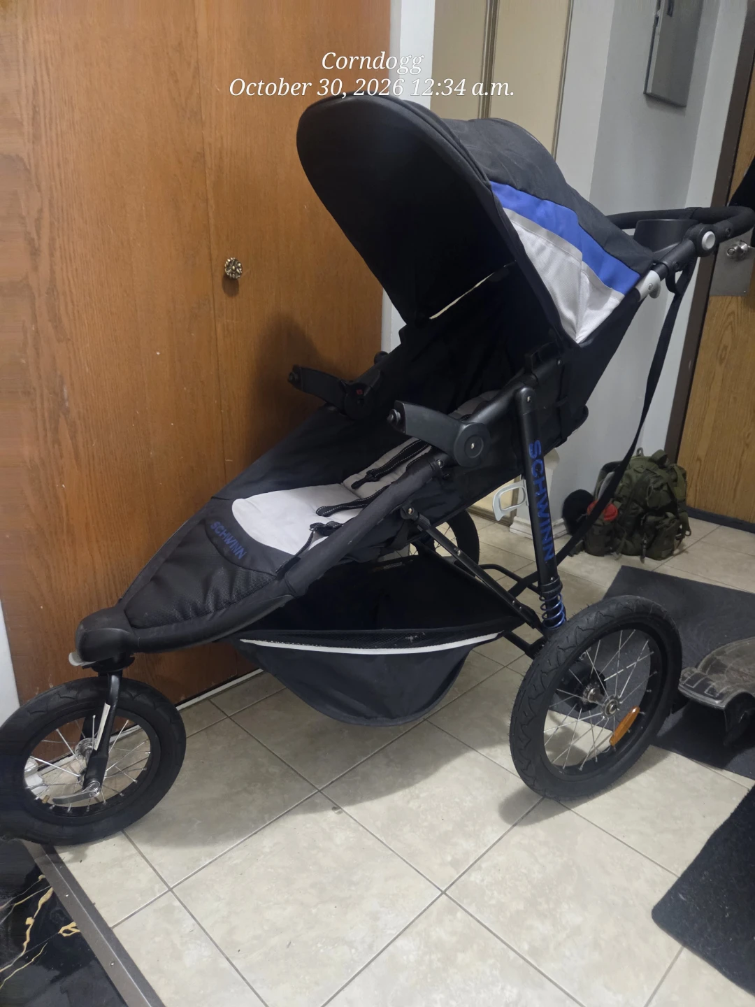 Schwinn Jogging Stroller