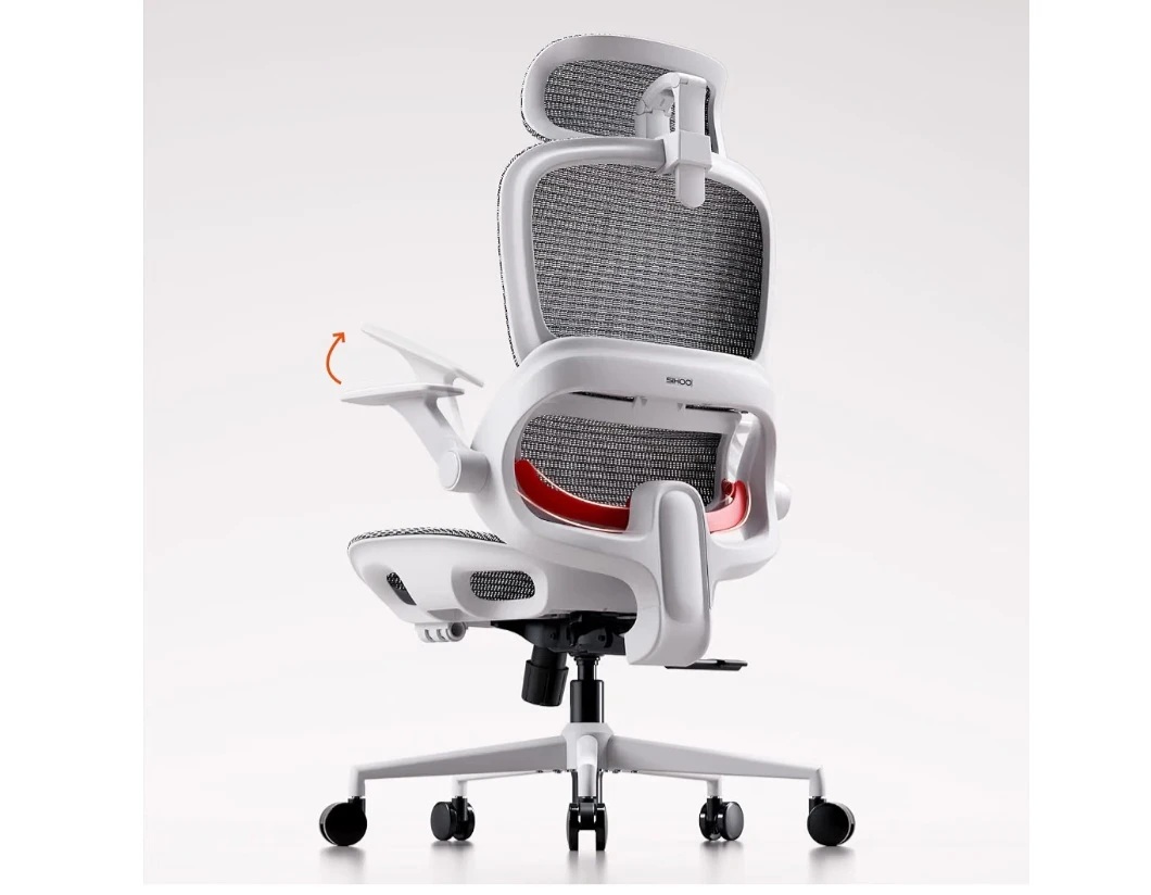 SIHOO B100 Ergonomic Office Chair Deep Gray