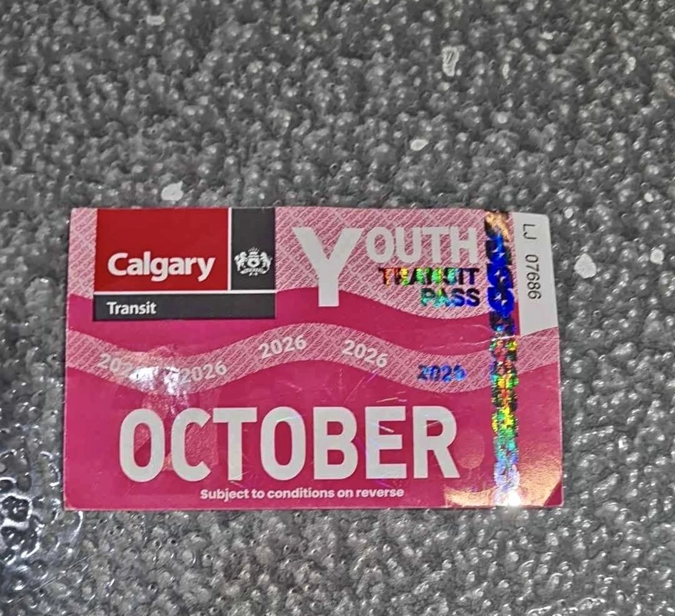 Calgary Youth Transit/ Bus Pass For October 2026