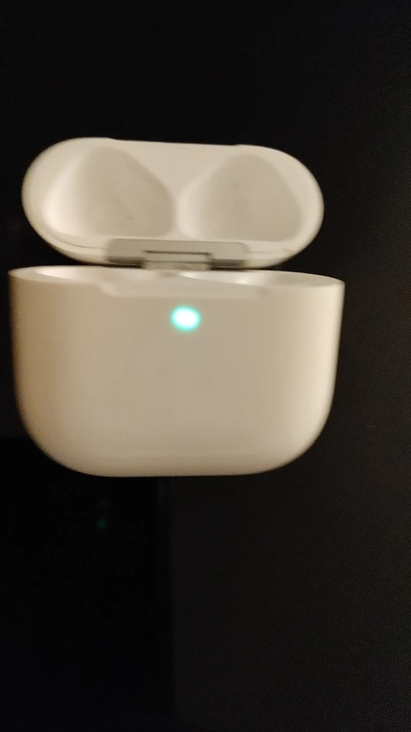 Apple AirPods Charging Case