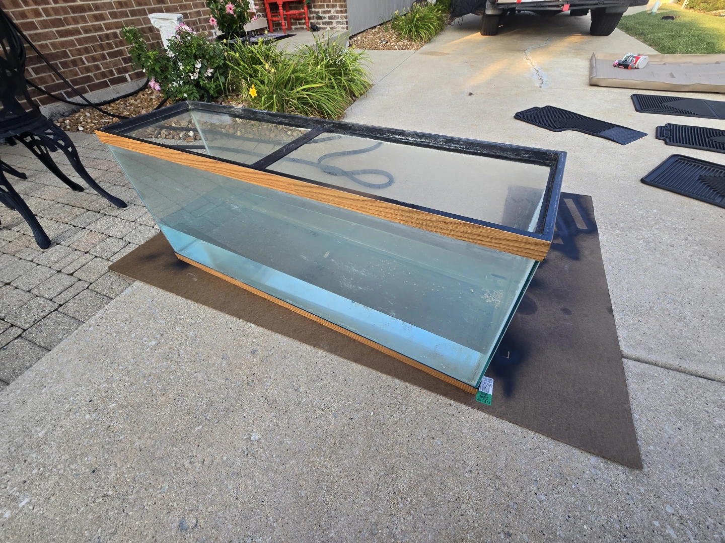 55-Gallon Glass Aquarium with Black Metal Stand