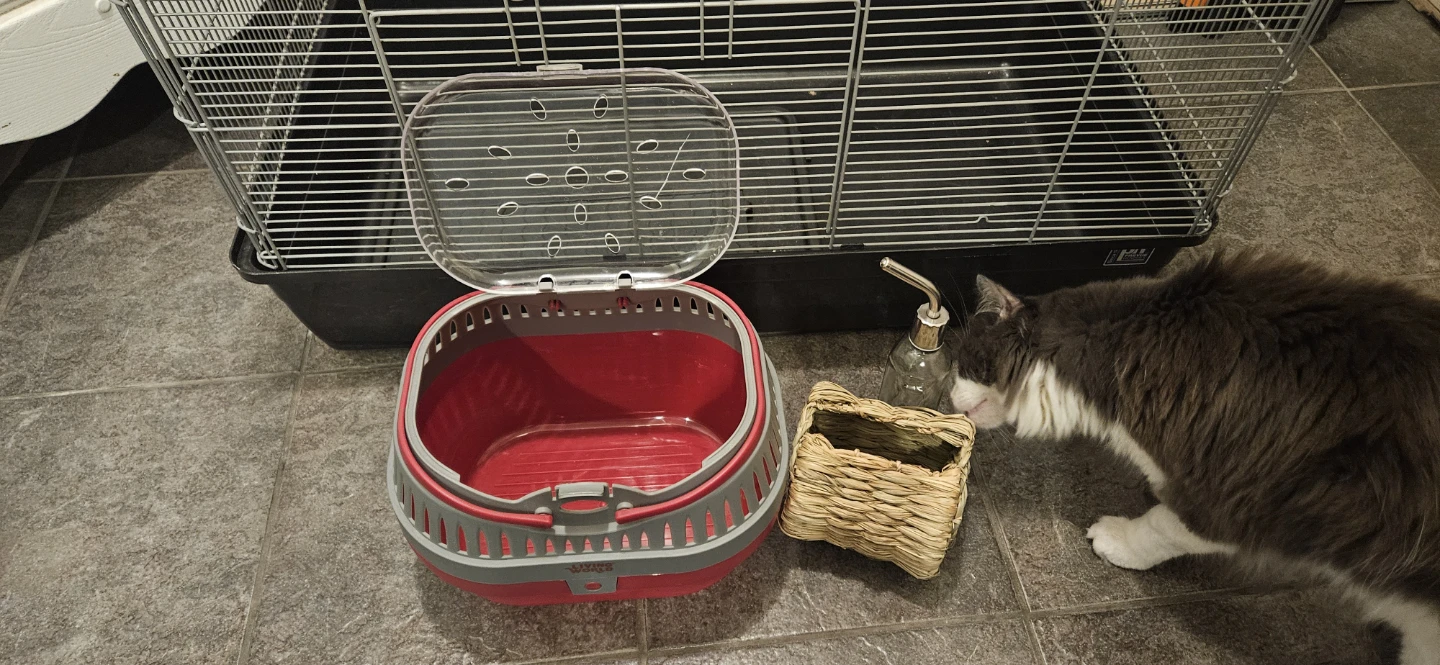 Hamster cage, carrier, wooden exercise wheel and more - photo 4