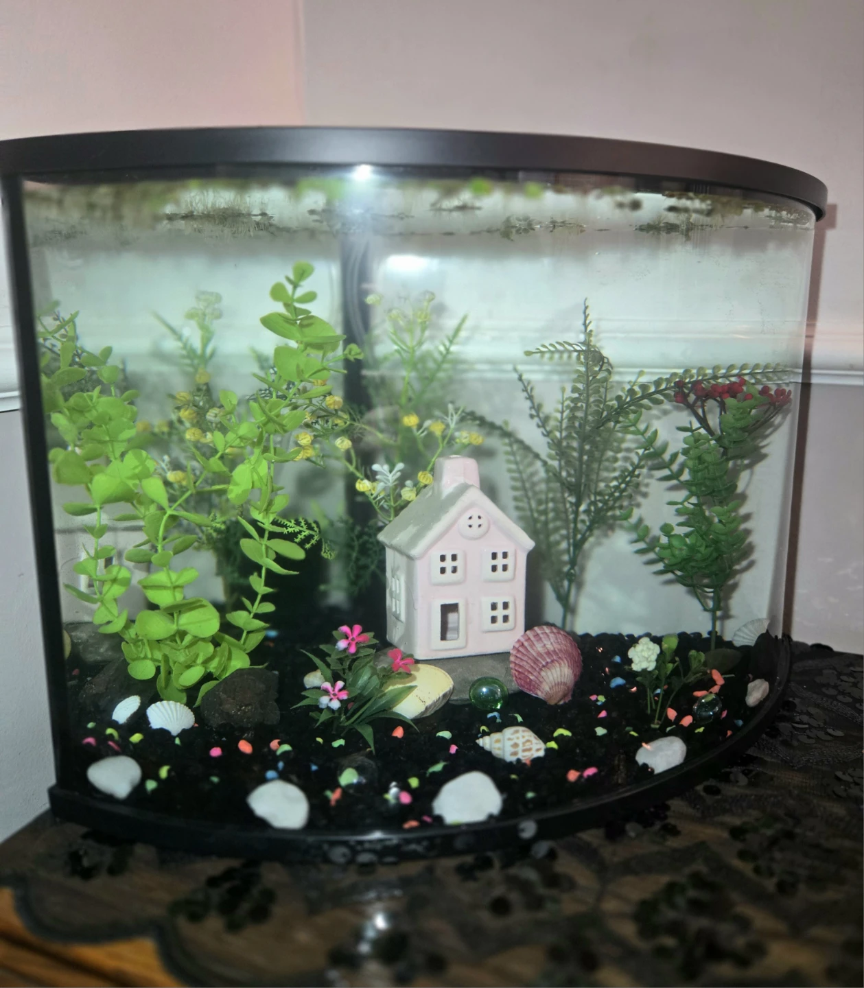 Aquarium for Beginners COMPLETE SETUP - photo 2