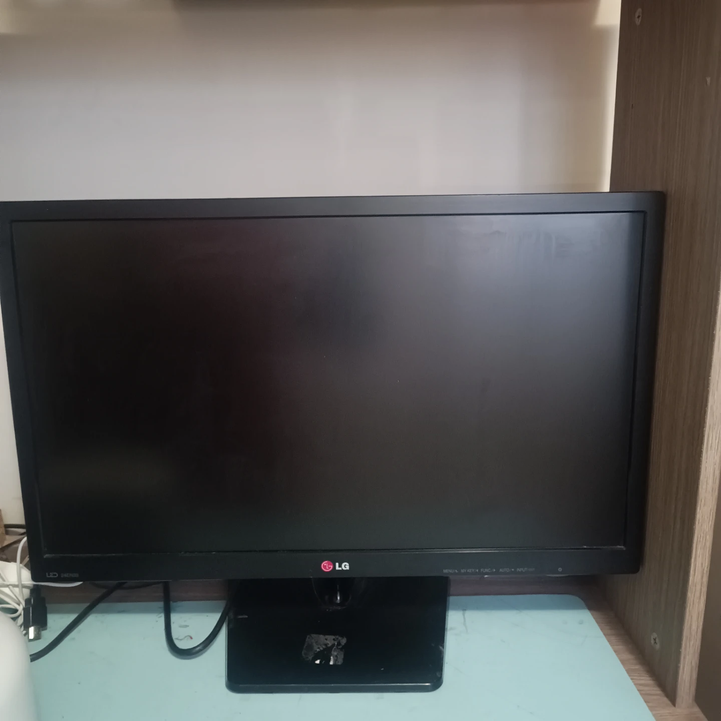 LG 24EN33 24-inch LED Monitor