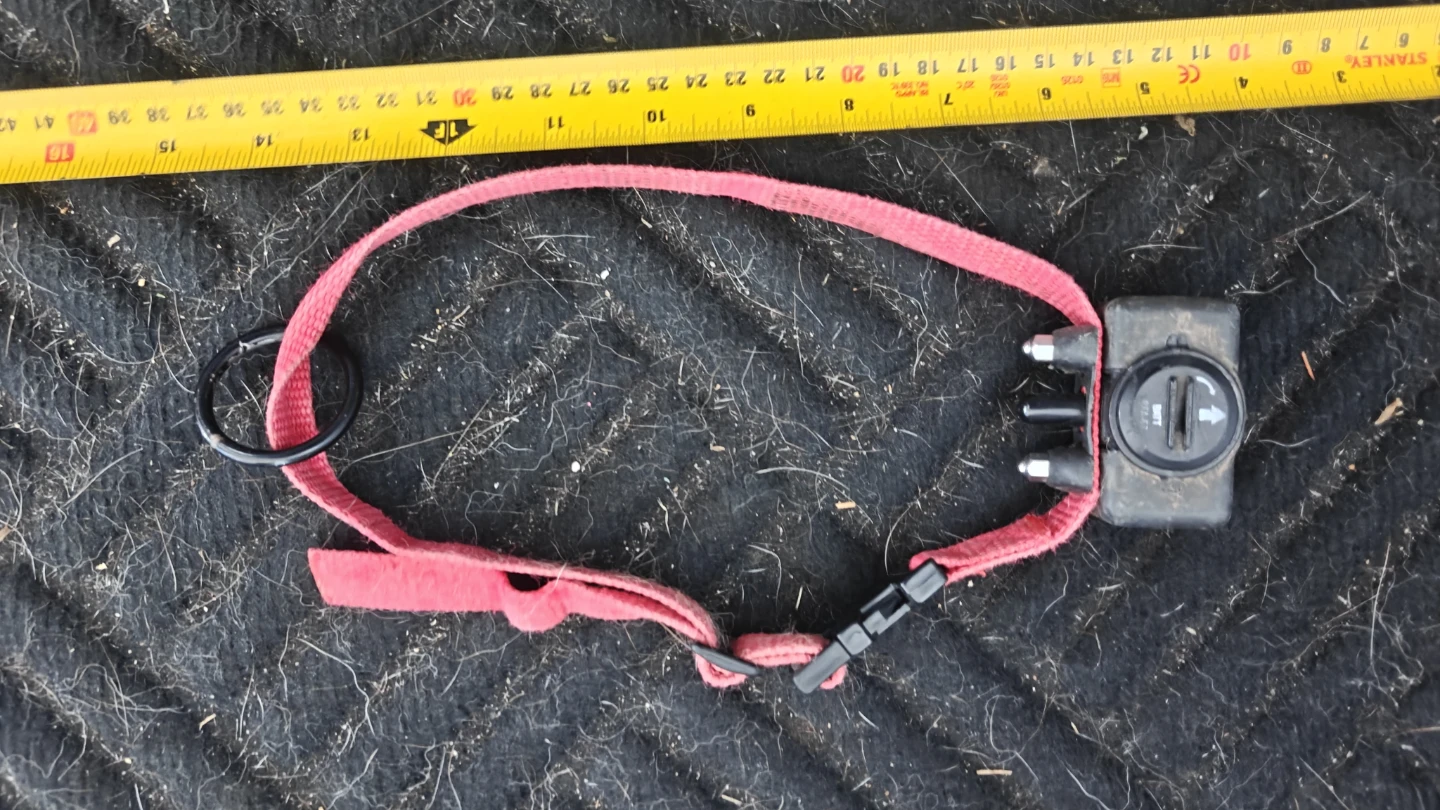 Various dog collars - photo 4