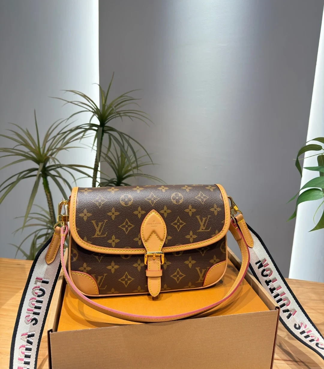Louis Vuitton Monogram Canvas Bag