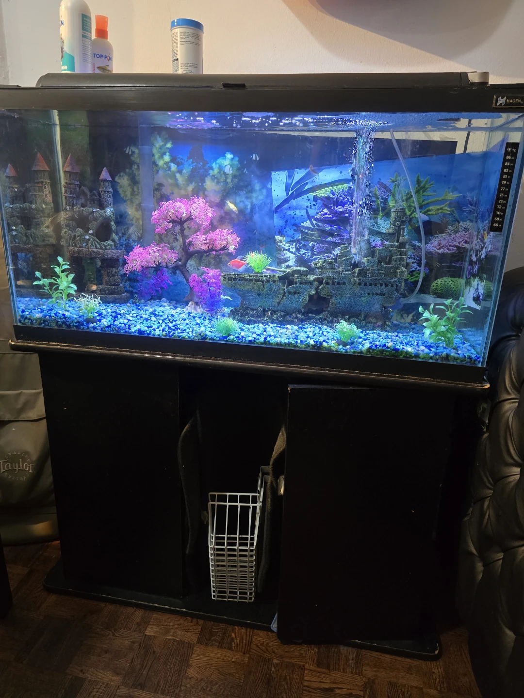 fish tank aquarium - photo 2