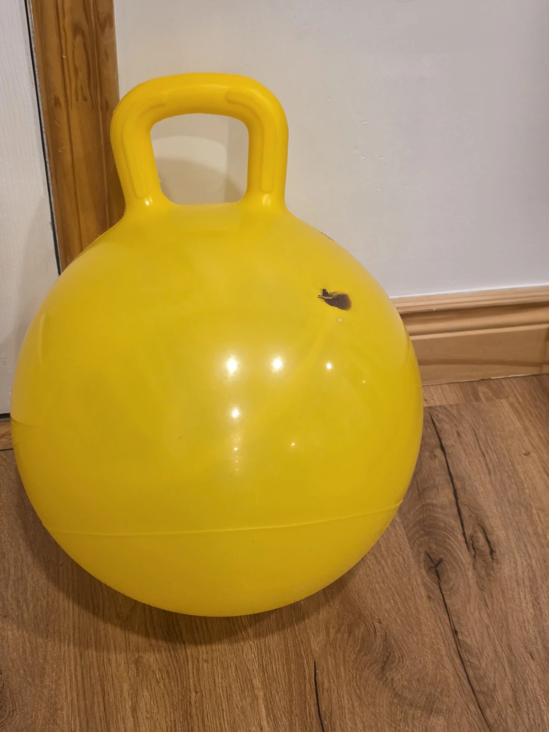 Set of two exercise and hopper balls