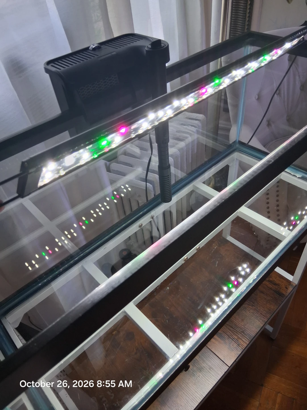 20 gallon long Glass Aquarium with accessories - photo 5