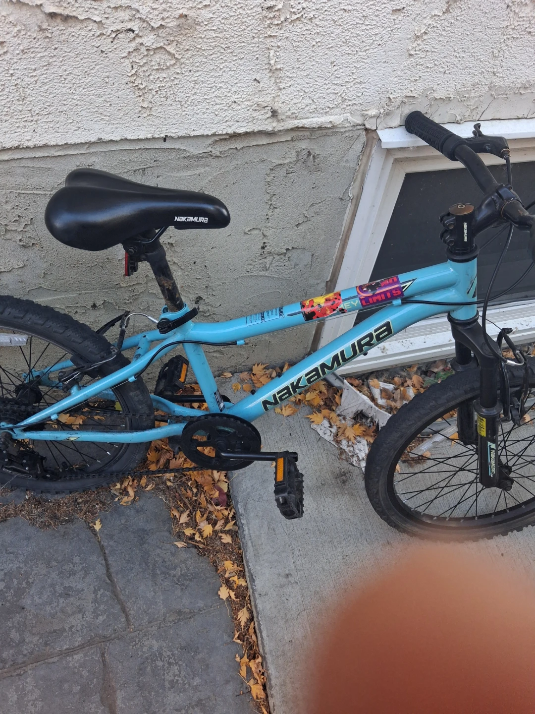 Nakamura Kids Mountain Bike - photo 3