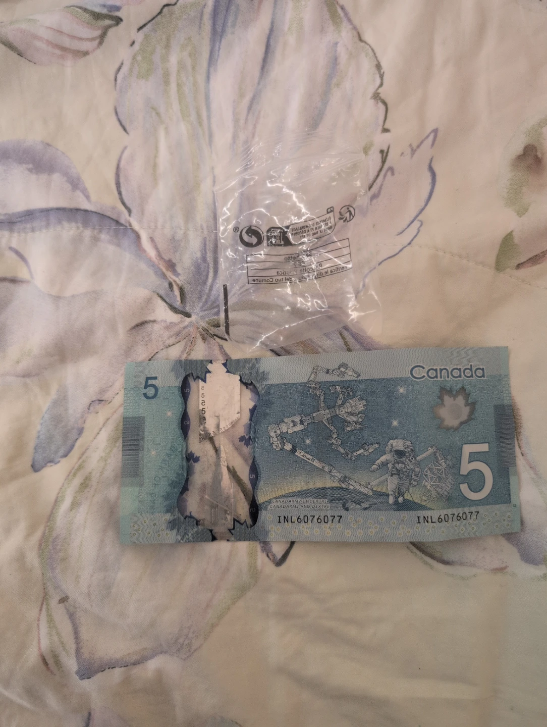 Small Clear Ziploc Plastic Bag - photo 5