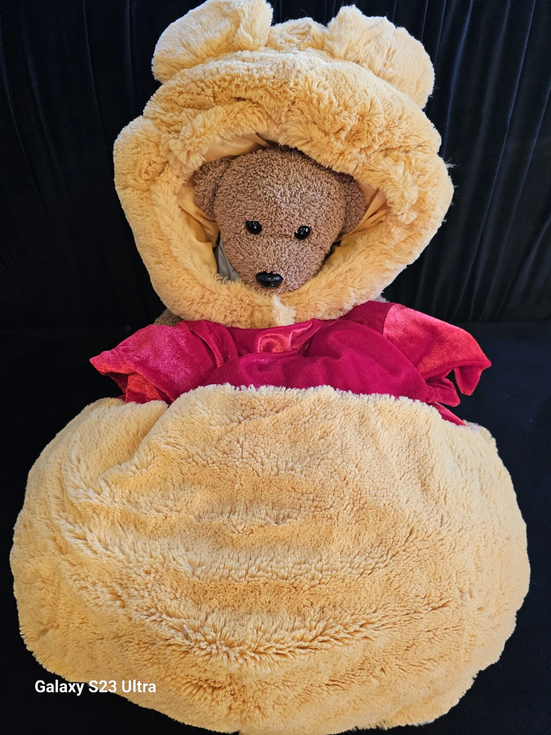 18 to 24 month Disney Winnie the Pooh Costume - photo 3