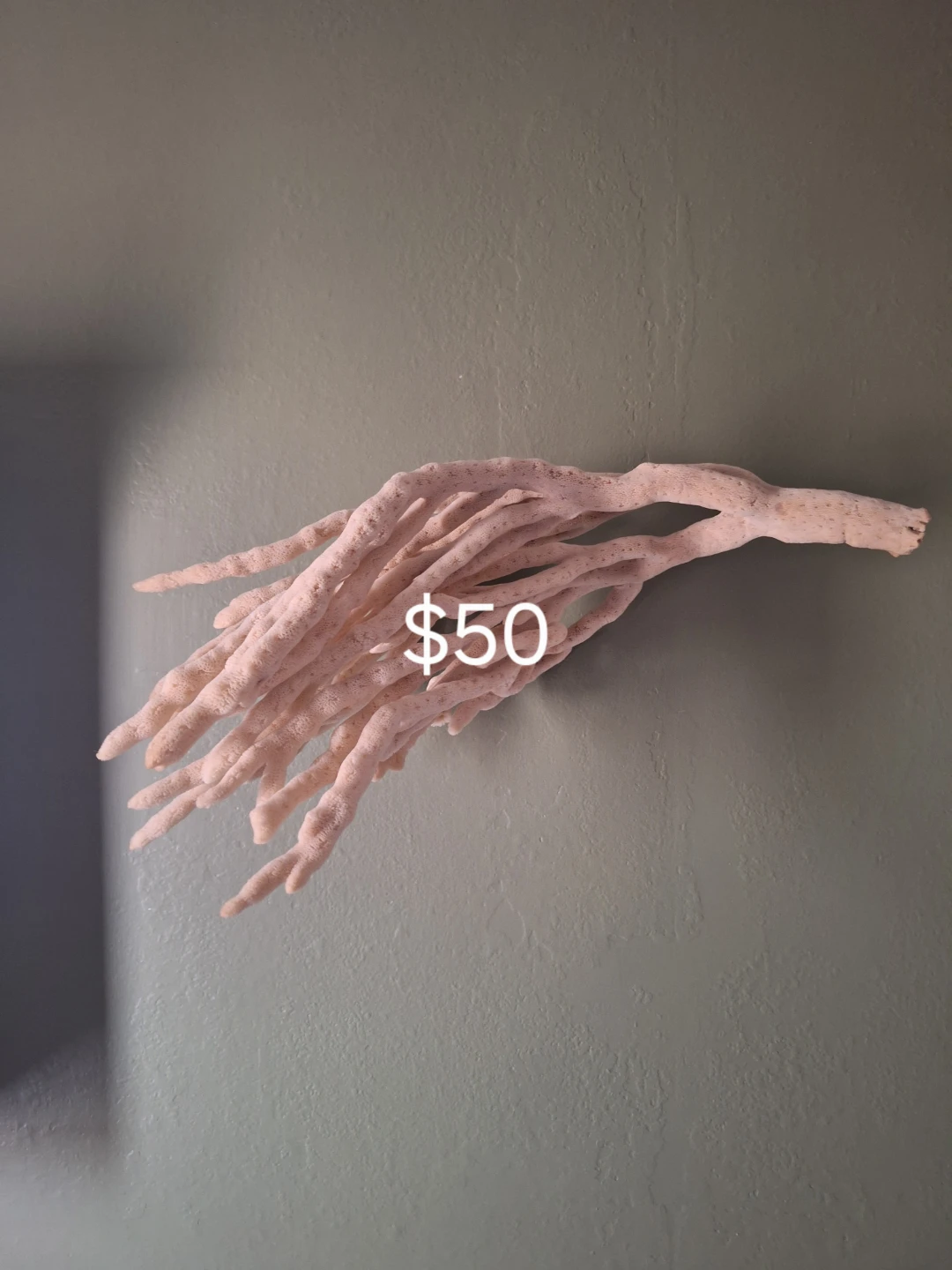 Natural Beige Branch Sponge Decorative Piece
