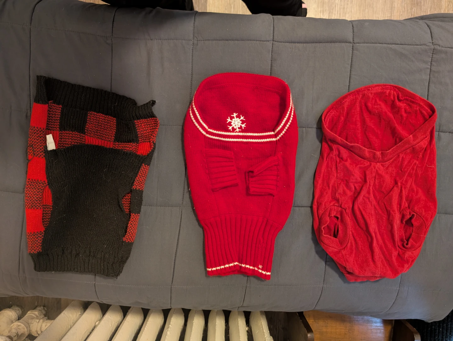 Assorted Dog Clothes - Roots, NHL, Band Tees - photo 2