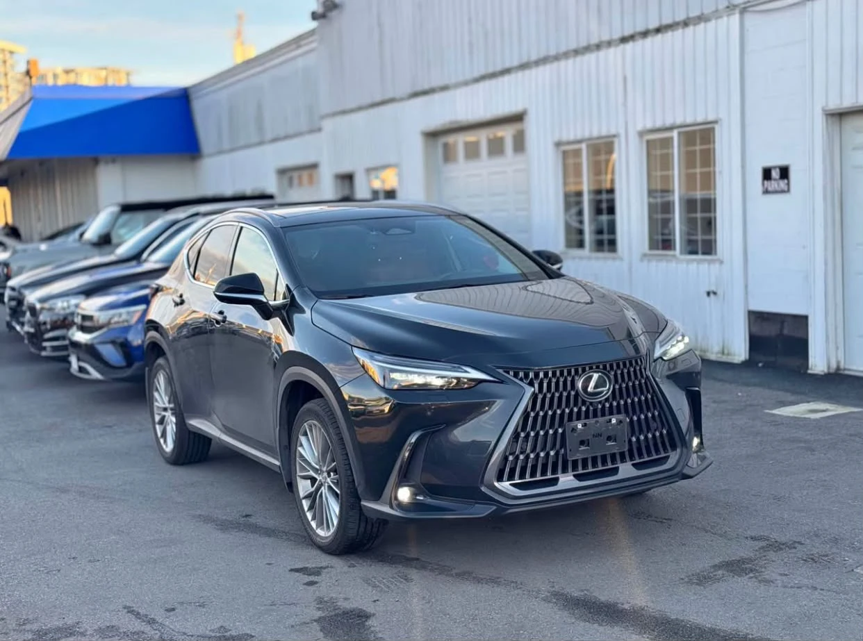 2024 Lexus NX - photo 3