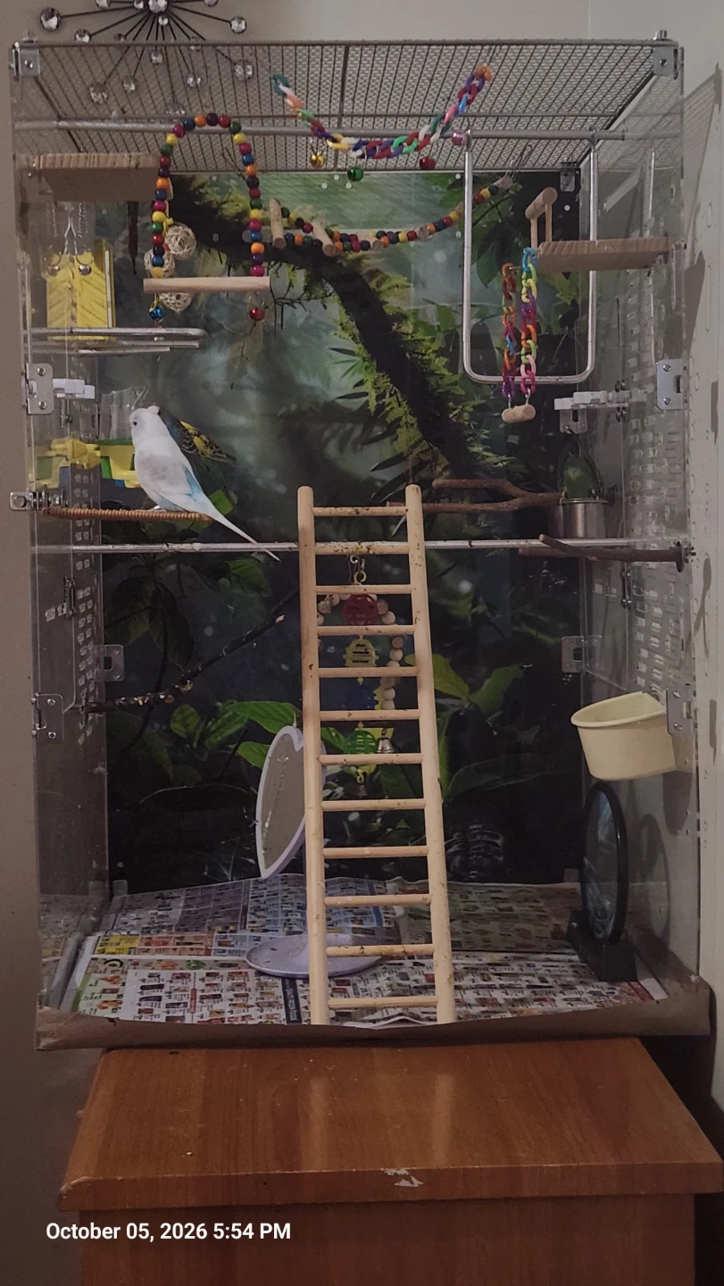 Clear Acrylic Bird Cage with Accessories - photo 2