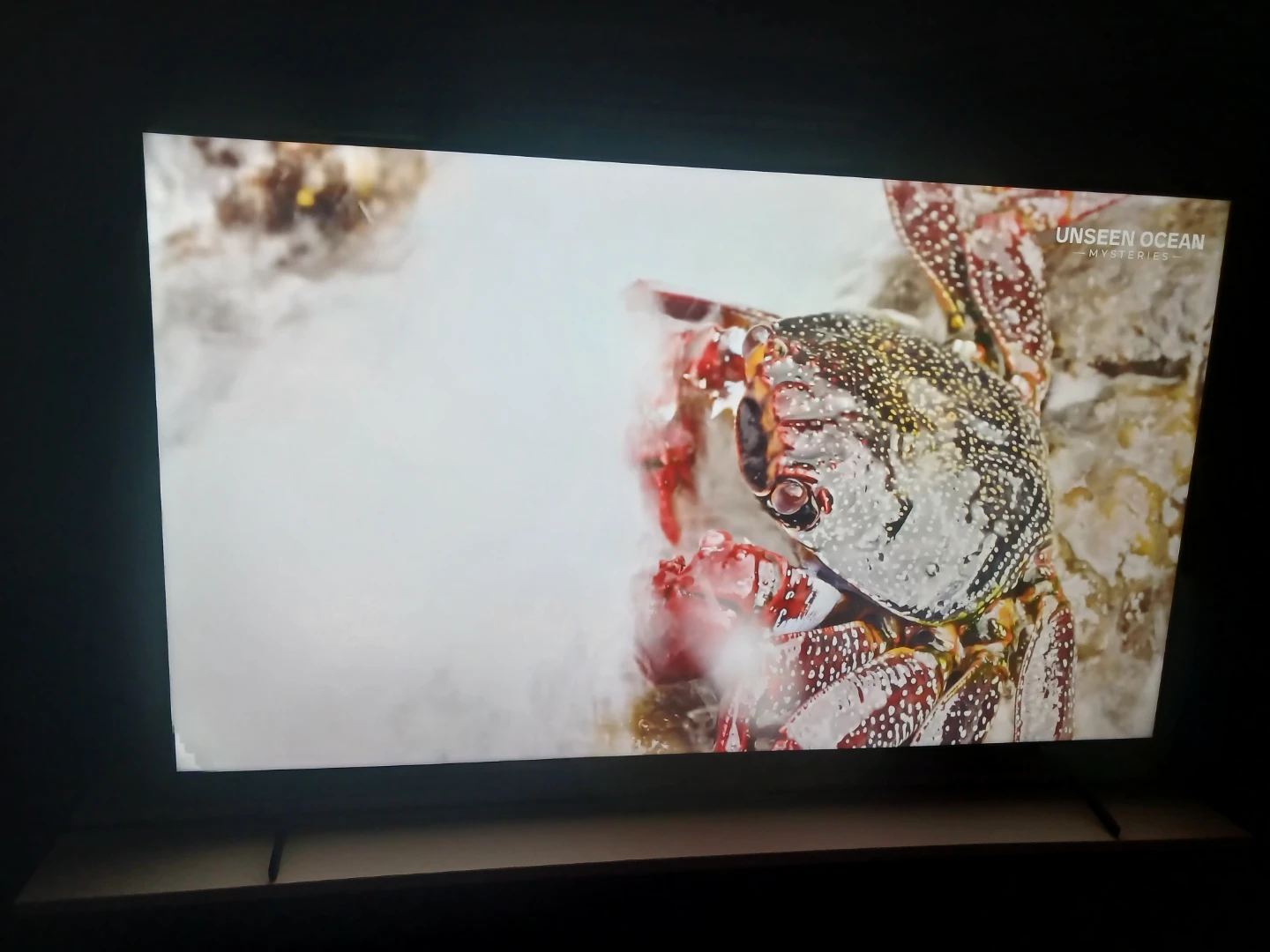 Sony 65" X85K 4K 120Hz Smart TV - photo 5
