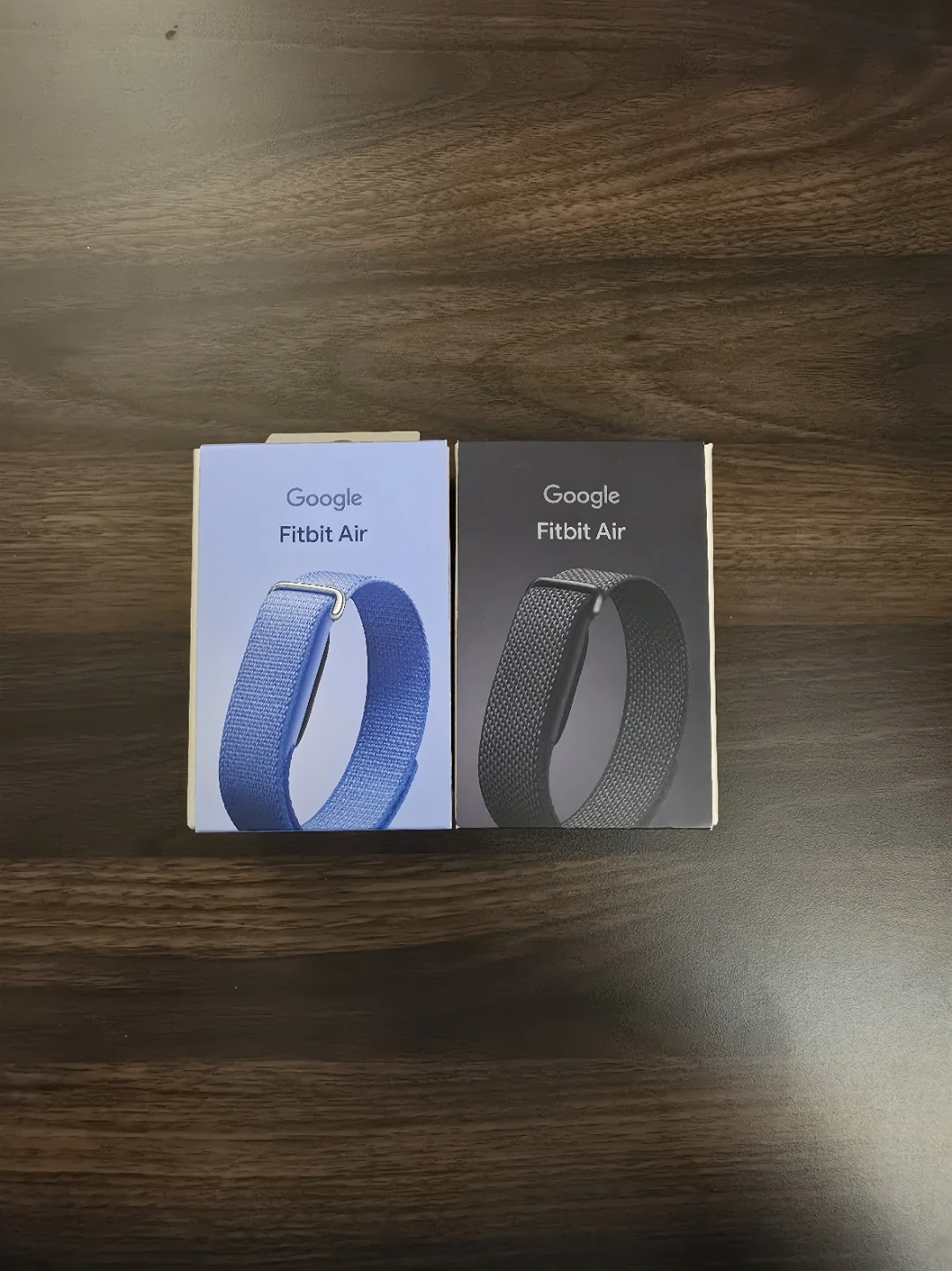 Google Fitbit Air