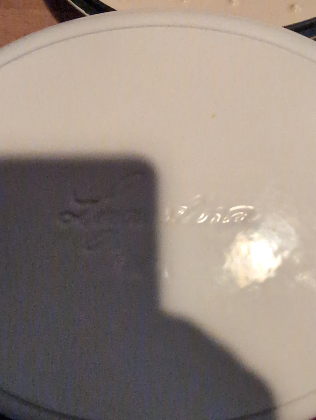 Lagostina Enamelled Cast Iron Dutch Oven - photo 5