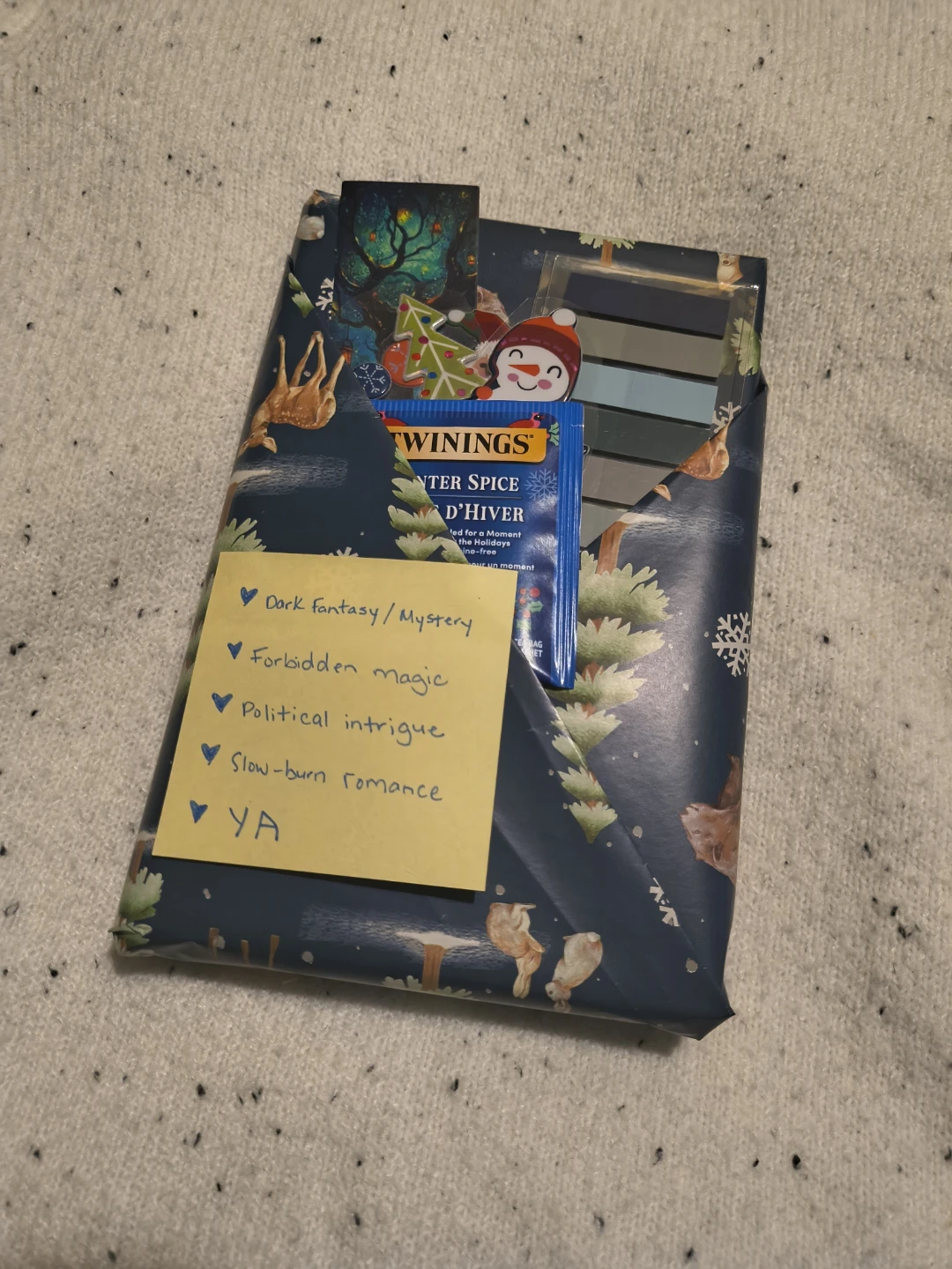 Wrapped Blind Date with a Book Gift Set