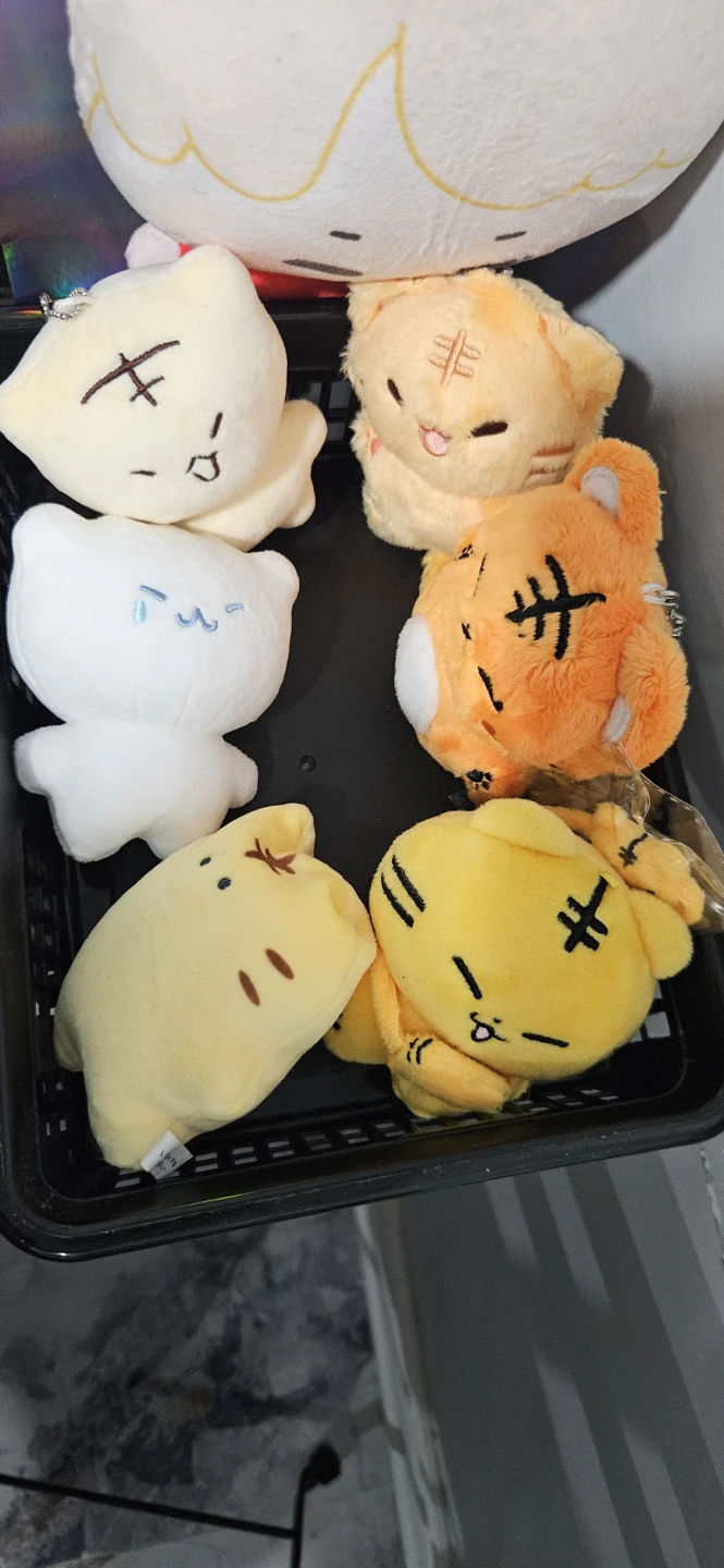 Collection of Hoshi and Wonwoo stuffy from fan