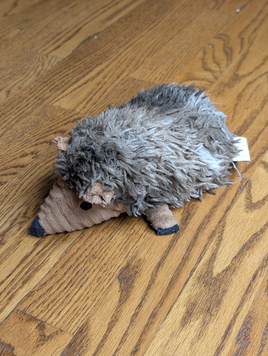 Plush Hedgehog Dog Toy
