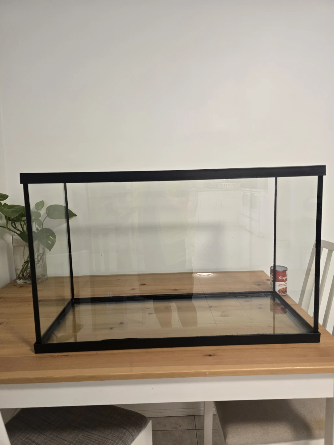 Glass Aquarium Tank