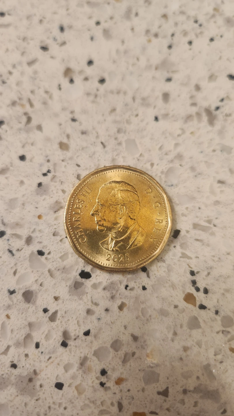 150th anniversary Loonie (1875–2025) - photo 2