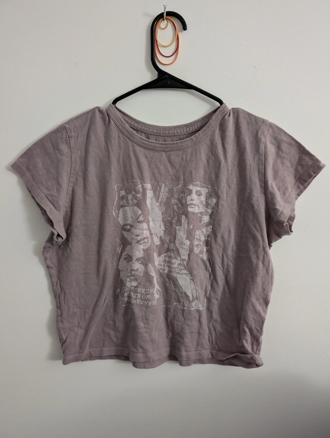 Hollister Cute Graphic Crop Top Baby Tee Purple