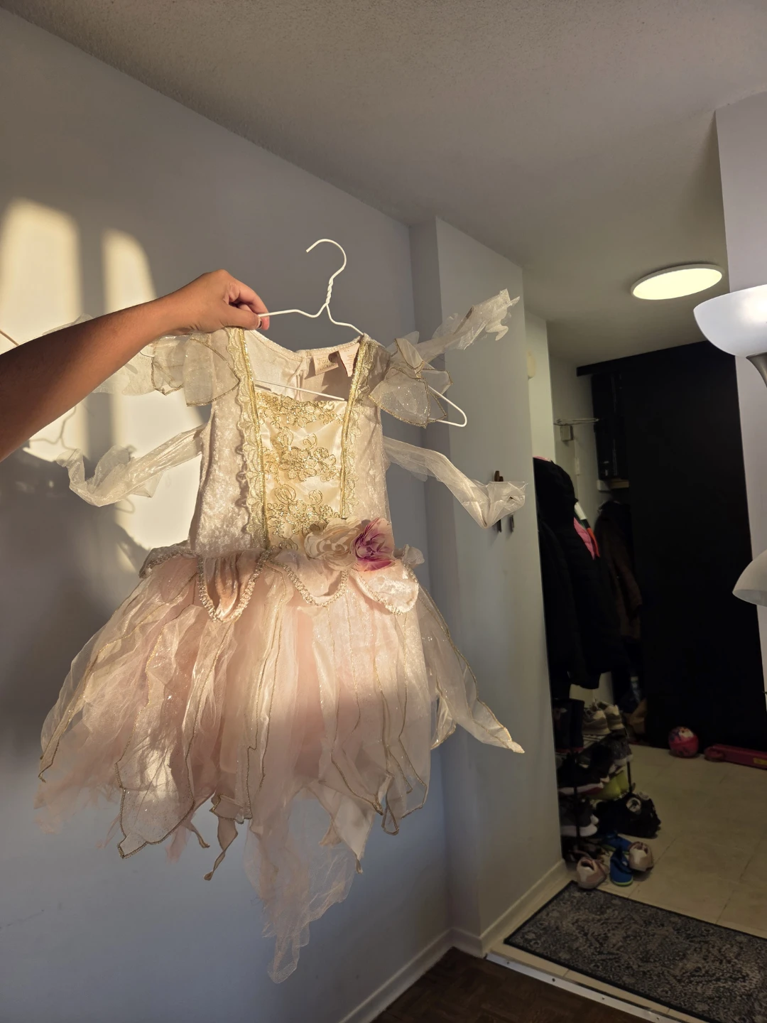 Halloween Fairy  Princess Costume 5-6 years