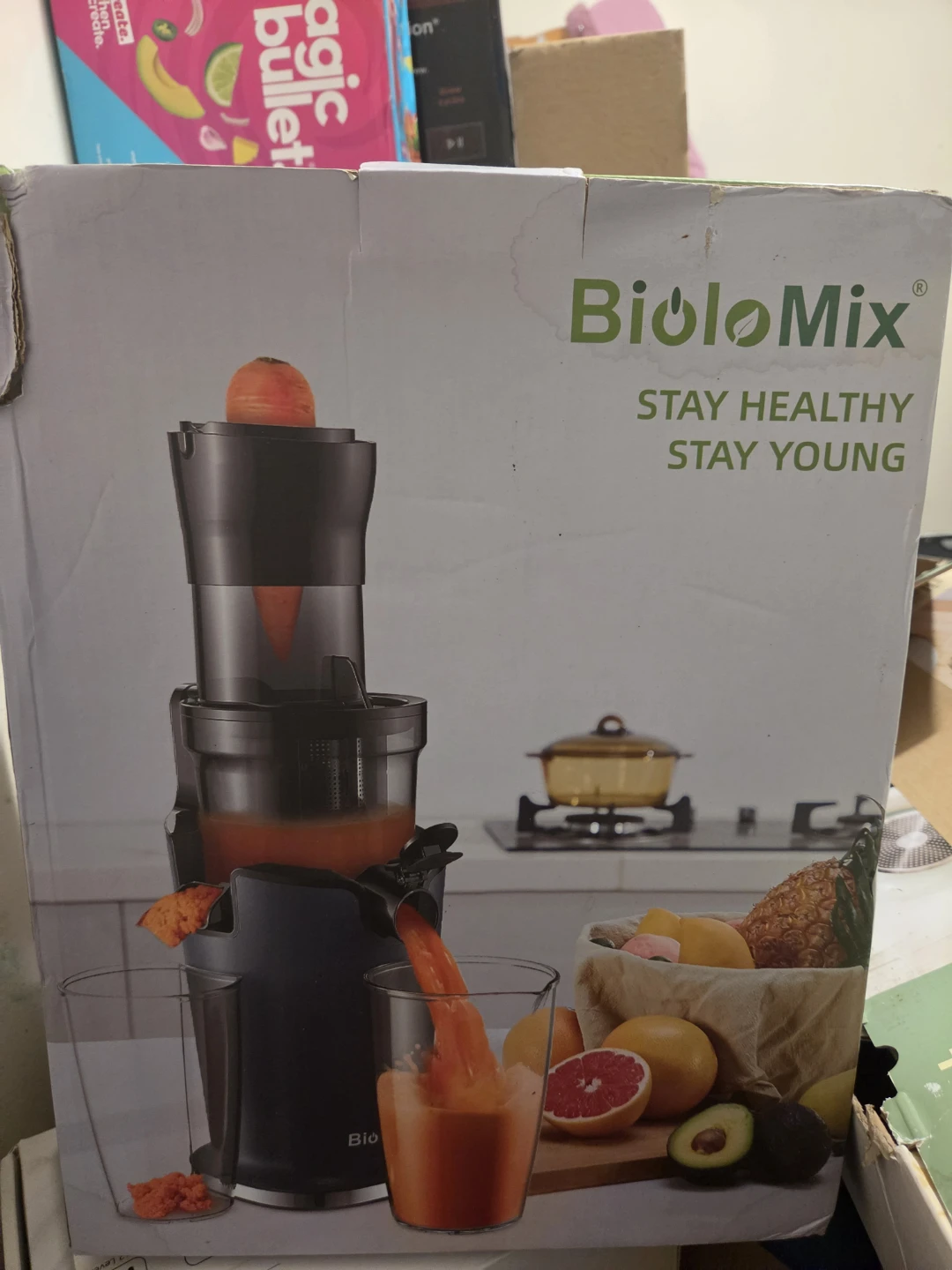 BioloMix SJ-017 Slow Juicer