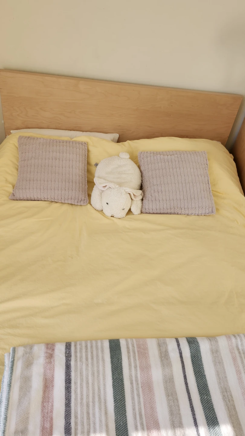 IKEA MALM Bed Frame with Storage Queen Size