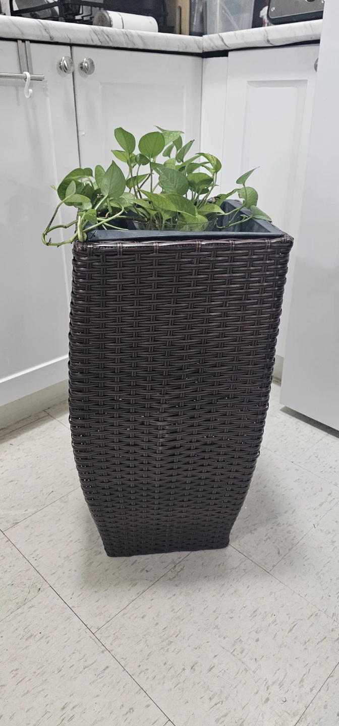 Tall Dark Brown Wicker Planter