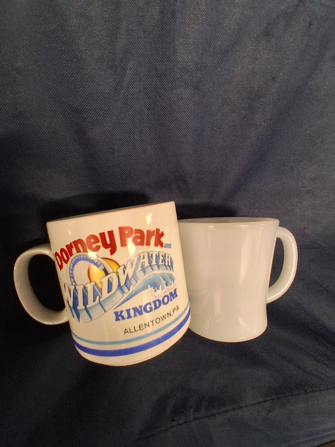 Dorney Park Wildwater Kingdom Coffee Mugs