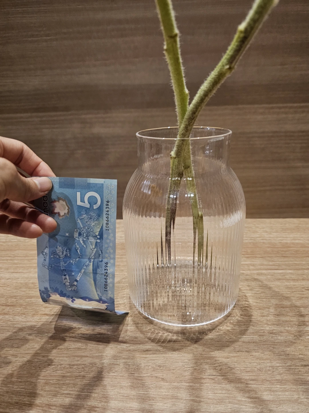 Clear Ribbed Glass Vase - photo 3