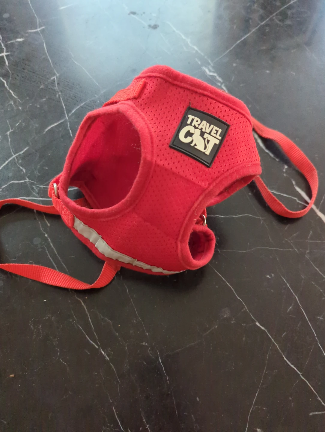 Travel Cat red harness