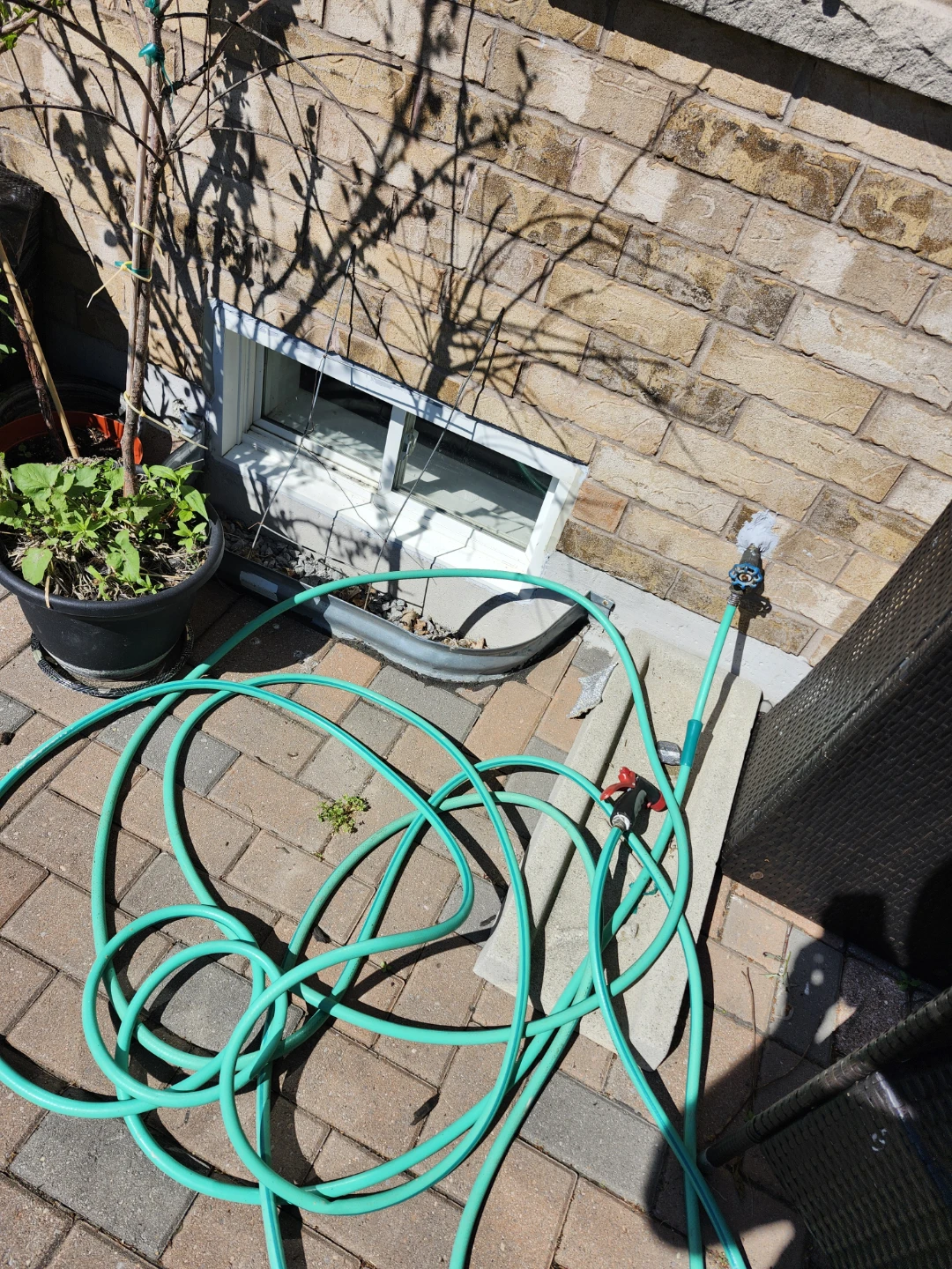 Free garden hose