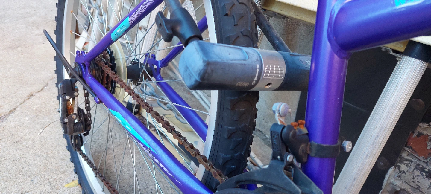Movelo Algonquin Mountain Bike - photo 5