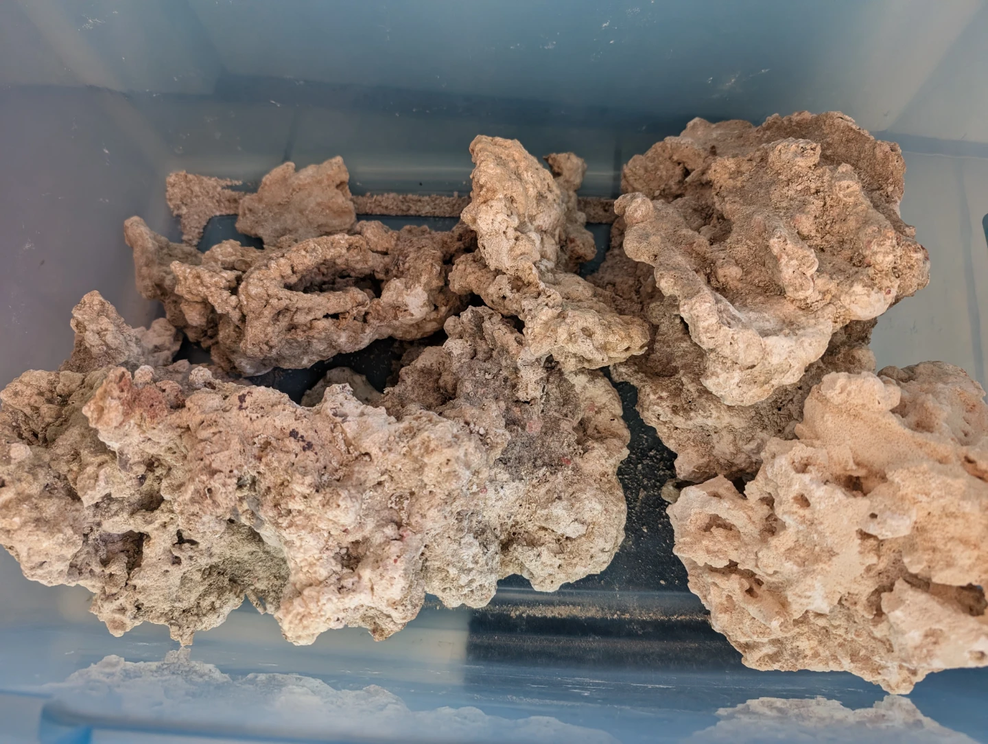 Natural Aquarium live Rock