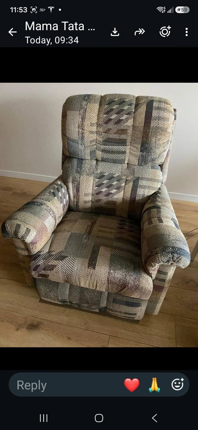 Patterned Reclining Armchair - photo 2